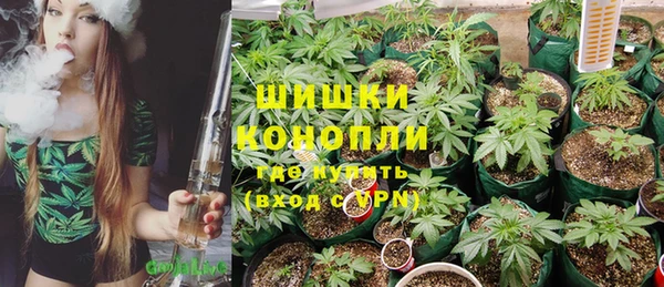 винт Тында