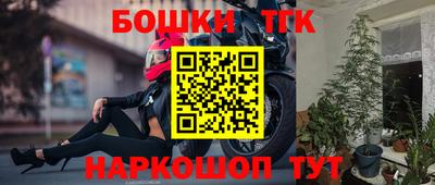 прущие грибы Гатчина