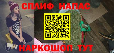 прущие грибы Гатчина