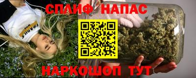 прущие грибы Гатчина