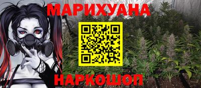 прущие грибы Гатчина