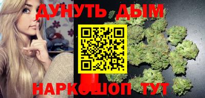 Альфа ПВП Гатчина