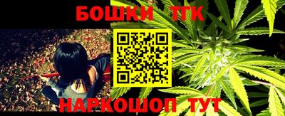 прущие грибы Гатчина