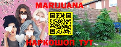 Альфа ПВП Гатчина