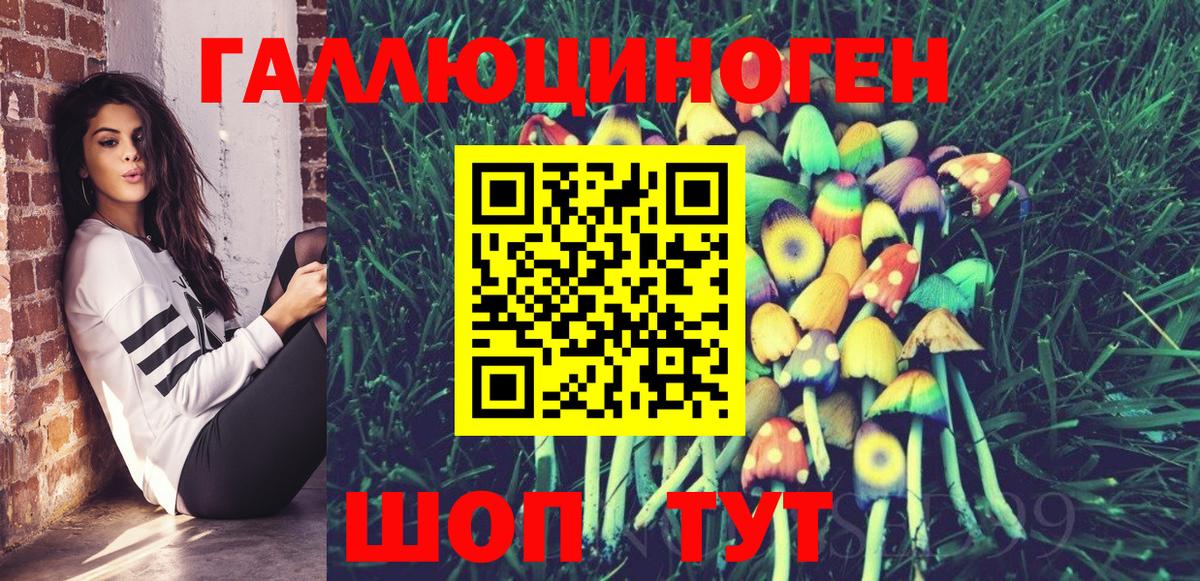 Галлюциногенные грибы Psilocybe Белорецк