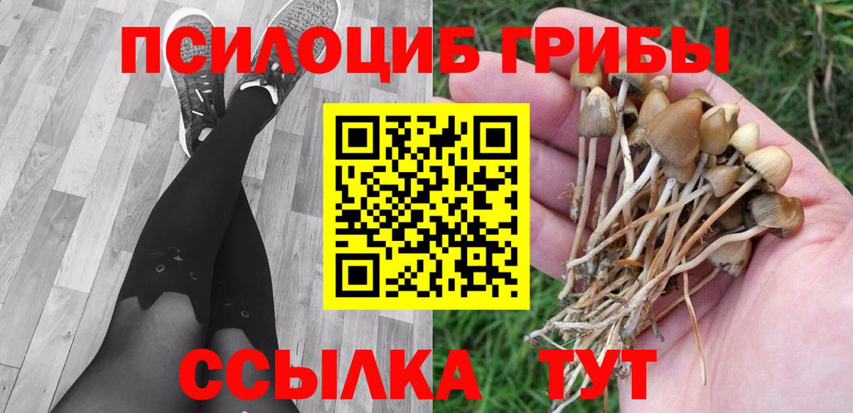 Галлюциногенные грибы мицелий Белорецк